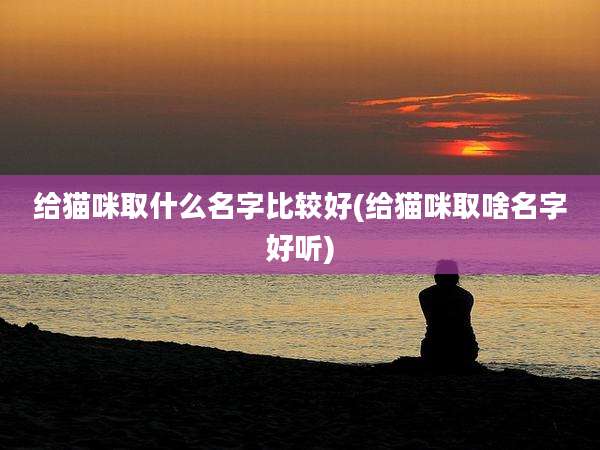 给猫咪取什么名字比较好(给猫咪取啥名字好听)
