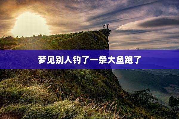 梦见别人钓了一条大鱼跑了