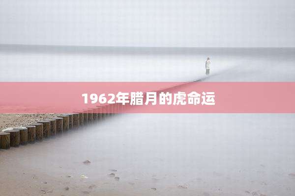 1962年腊月的虎命运