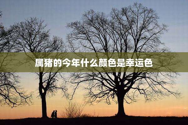 属猪的今年什么颜色是幸运色