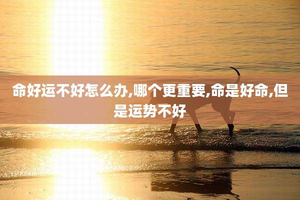 命好运不好怎么办,哪个更重要,命是好命,但是运势不好