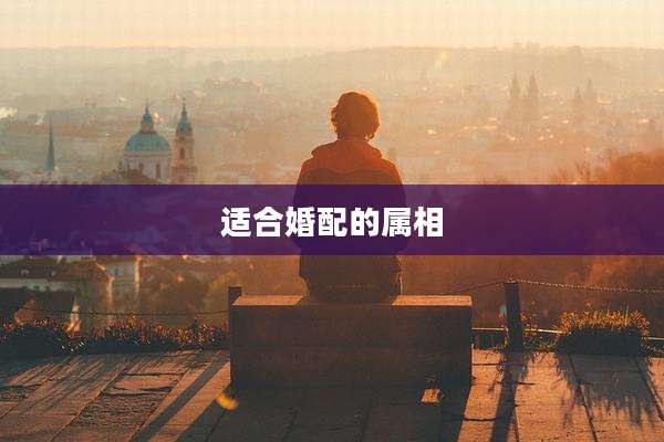 适合婚配的属相