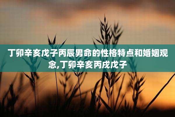 丁卯辛亥戊子丙辰男命的性格特点和婚姻观念,丁卯辛亥丙戌戊子