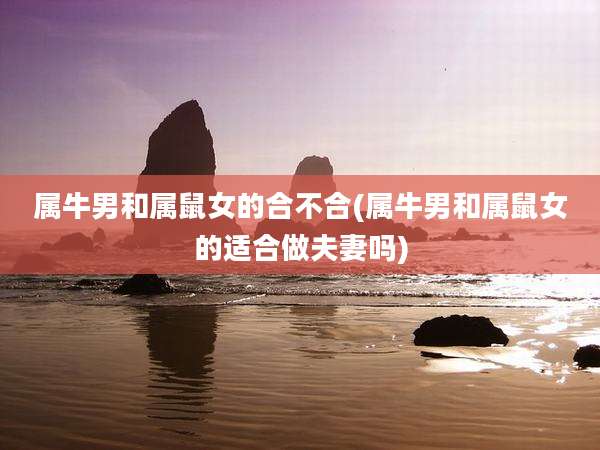 属牛男和属鼠女的合不合(属牛男和属鼠女的适合做夫妻吗)