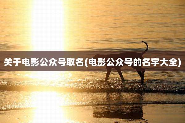 关于电影公众号取名(电影公众号的名字大全)