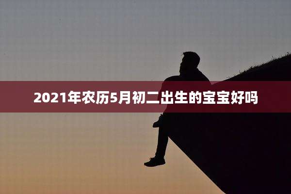 2021年农历5月初二出生的宝宝好吗