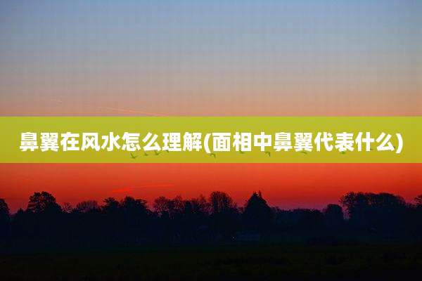 鼻翼在风水怎么理解(面相中鼻翼代表什么)