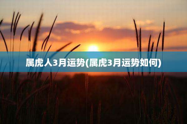 属虎人3月运势(属虎3月运势如何)