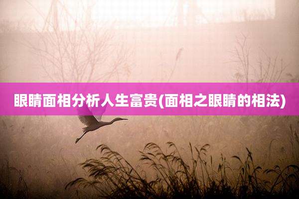 眼睛面相分析人生富贵(面相之眼睛的相法)