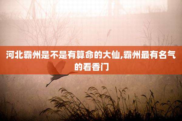 河北霸州是不是有算命的大仙,霸州最有名气的看香门