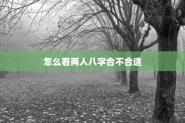 怎么看两人八字合不合适