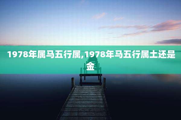 1978年属马五行属,1978年马五行属土还是金
