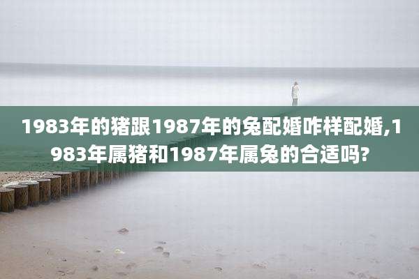 1983年的猪跟1987年的兔配婚咋样配婚,1983年属猪和1987年属兔的合适吗?