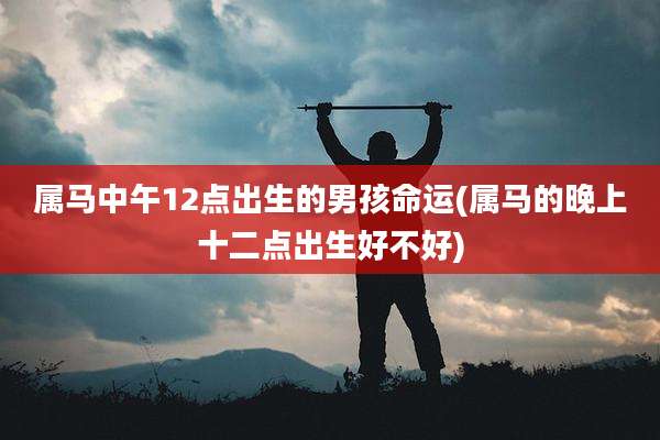 属马中午12点出生的男孩命运(属马的晚上十二点出生好不好)