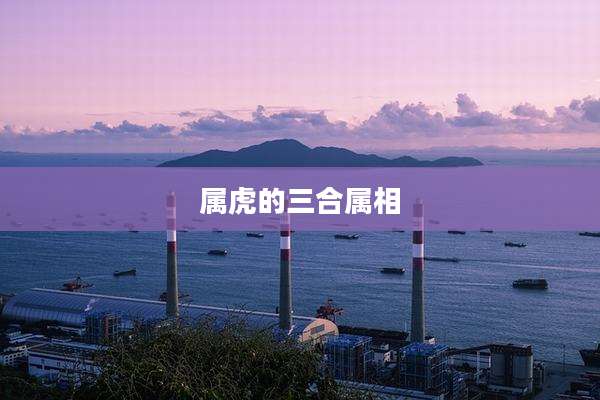 属虎的三合属相