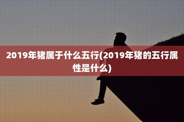2019年猪属于什么五行(2019年猪的五行属性是什么)
