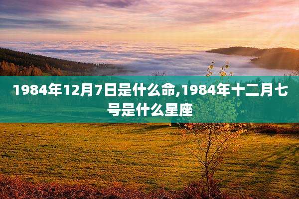 1984年12月7日是什么命,1984年十二月七号是什么星座