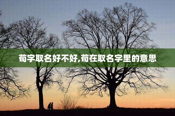 荀字取名好不好,荀在取名字里的意思