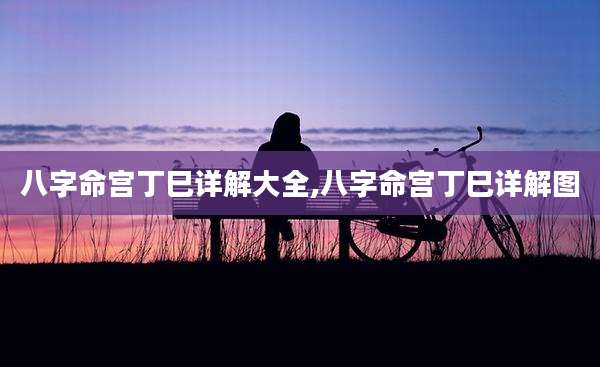 八字命宫丁巳详解大全,八字命宫丁巳详解图