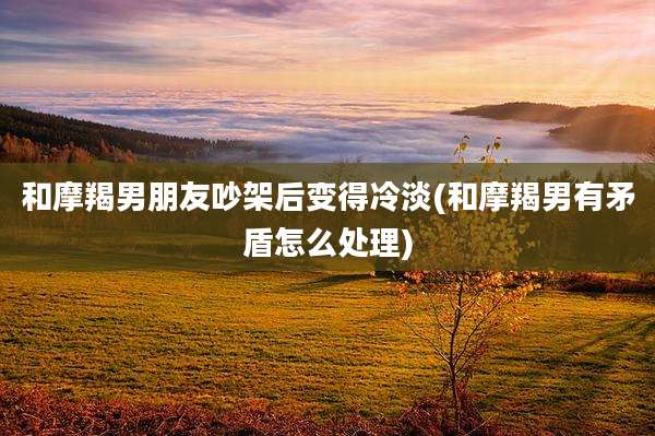 和摩羯男朋友吵架后变得冷淡(和摩羯男有矛盾怎么处理)