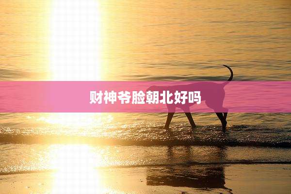 财神爷脸朝北好吗
