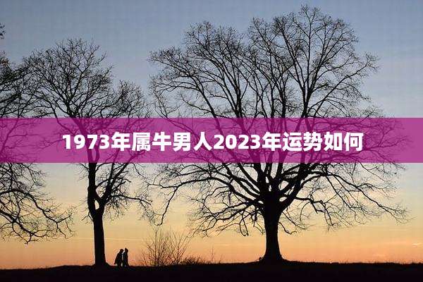 1973年属牛男人2023年运势如何