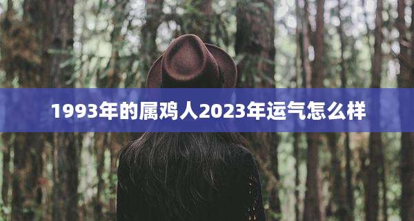 1993年的属鸡人2023年运气怎么样