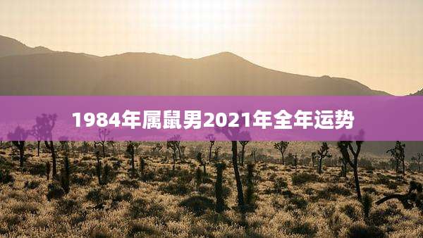 1984年属鼠男2021年全年运势