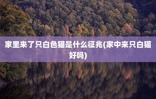 家里来了只白***是什么征兆(家中来只白猫好吗)