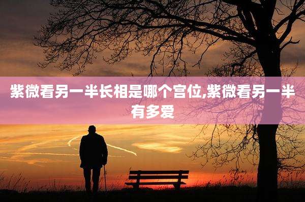 紫微看另一半长相是哪个宫位,紫微看另一半有多爱