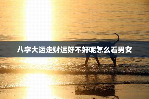 八字大运走财运好不好呢怎么看男女