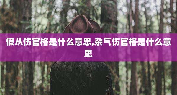假从伤官格是什么意思,杂气伤官格是什么意思