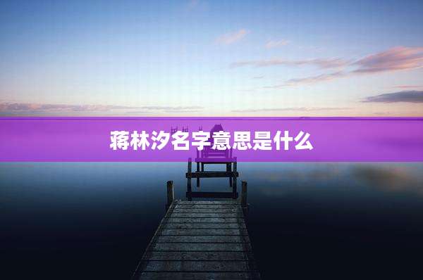 蒋林汐名字意思是什么