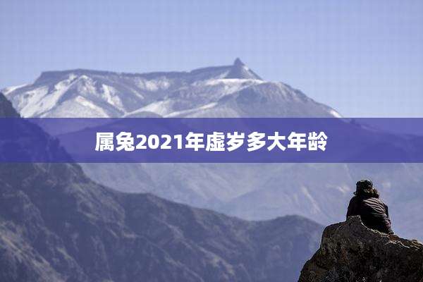 属兔2021年虚岁多大年龄