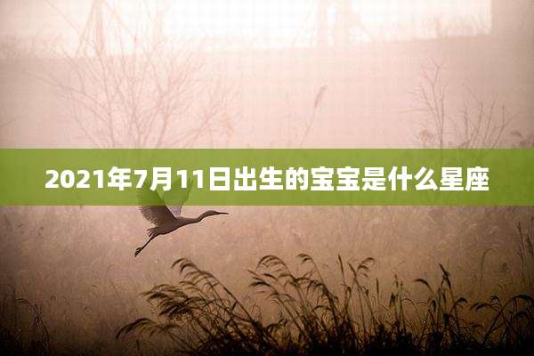 2021年7月11日出生的宝宝是什么星座