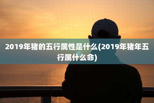 2019年猪的五行属性是什么(2019年猪年五行属什么命)