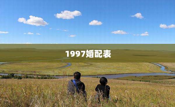 1997婚配表