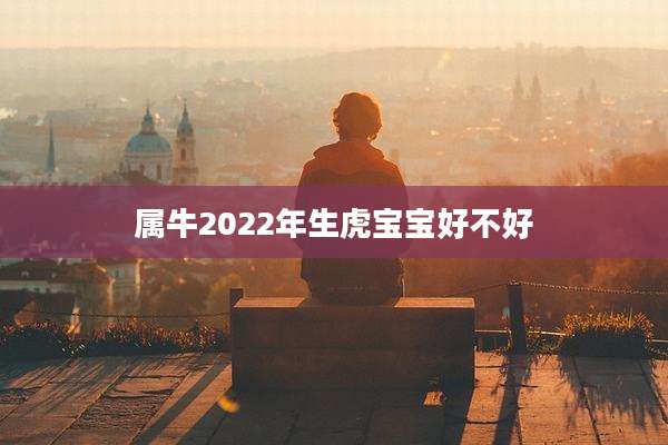 属牛2022年生虎宝宝好不好