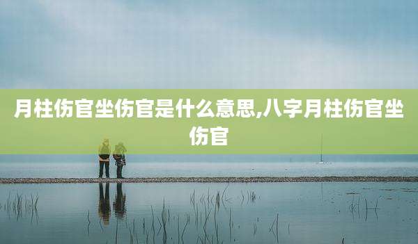 月柱伤官坐伤官是什么意思,八字月柱伤官坐伤官