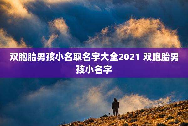双胞胎男孩小名取名字大全2021 双胞胎男孩小名字