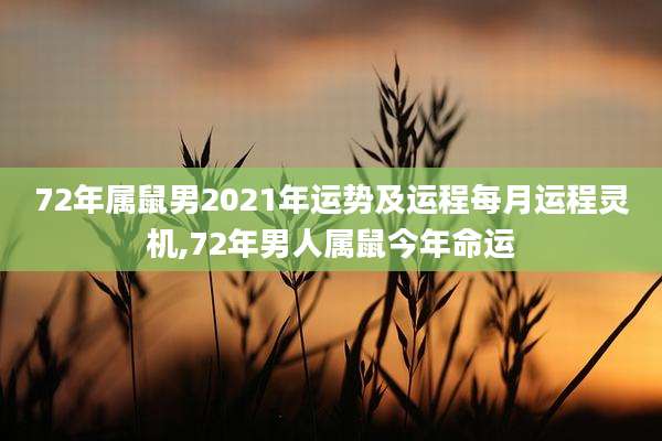 72年属鼠男2021年运势及运程每月运程灵机,72年男人属鼠今年命运