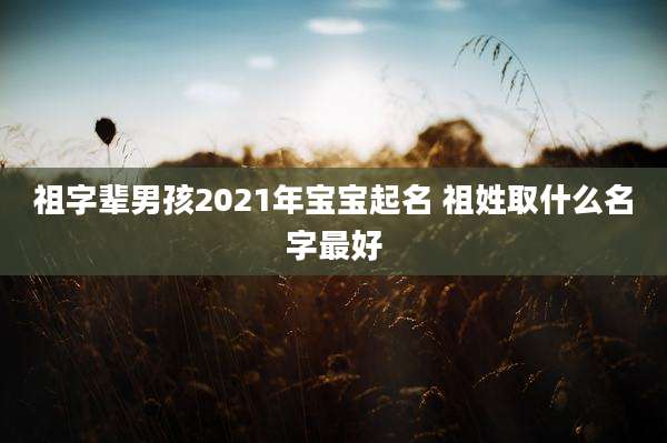 祖字辈男孩2021年宝宝起名 祖姓取什么名字最好