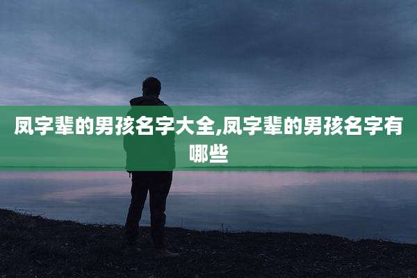 凤字辈的男孩名字大全,凤字辈的男孩名字有哪些