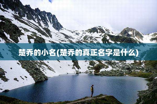 楚乔的小名(楚乔的真正名字是什么)