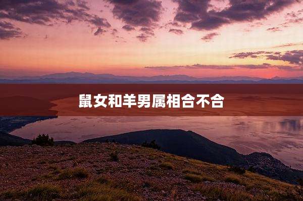 鼠女和羊男属相合不合