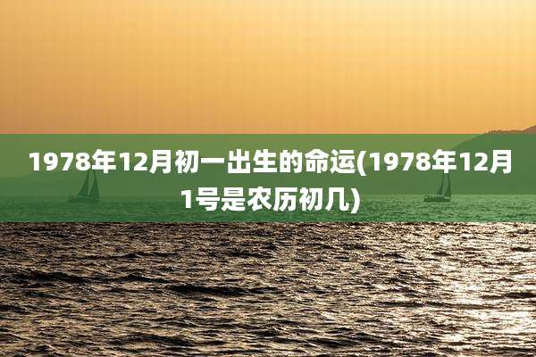 1978年12月初一出生的命运(1978年12月1号是农历初几)