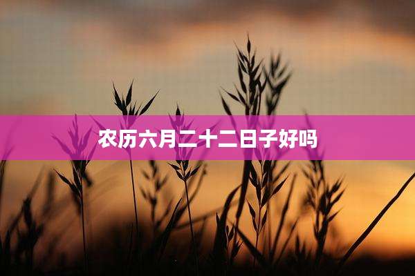 农历六月二十二日子好吗