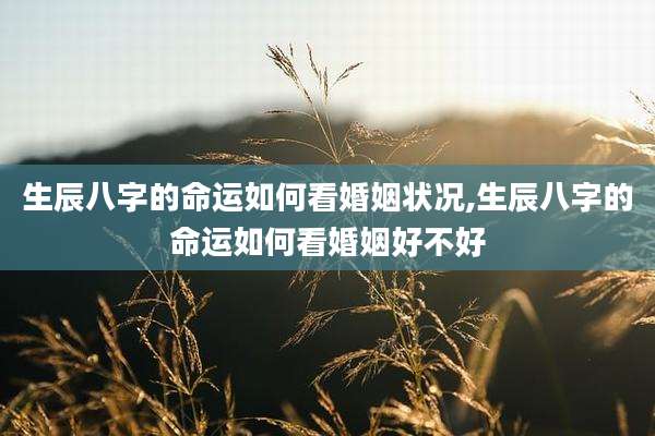 生辰八字的命运如何看婚姻状况,生辰八字的命运如何看婚姻好不好