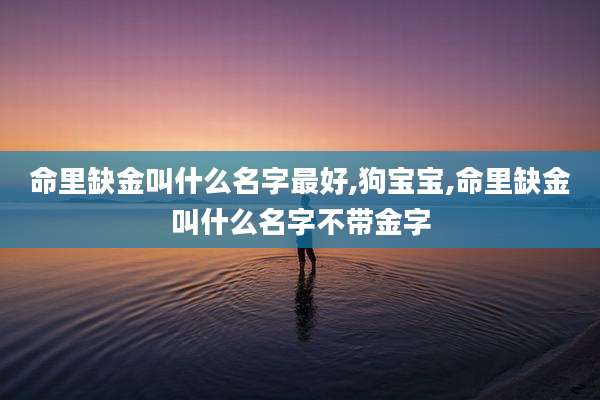 命里缺金叫什么名字最好,狗宝宝,命里缺金叫什么名字不带金字