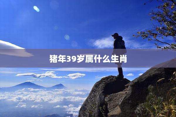猪年39岁属什么生肖